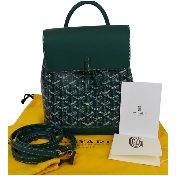 GOYARD Mini Alpin Calfskin 3Way Crossbody Backpack Green