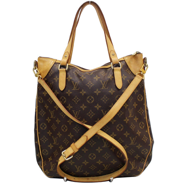 Louis Vuitton Odeon GM Monogram Canvas Bag front look