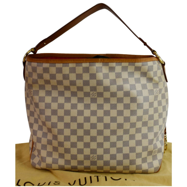 Louis Vuitton Delightful PM Hobo Bag front view