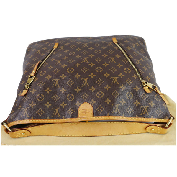 Louis Vuitton Delightful GM Monogram Canvas Tote Bag top front look