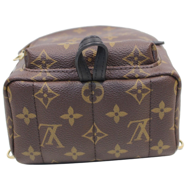 bottom Lv Palm Springs Mini Monogram Canvas Bag