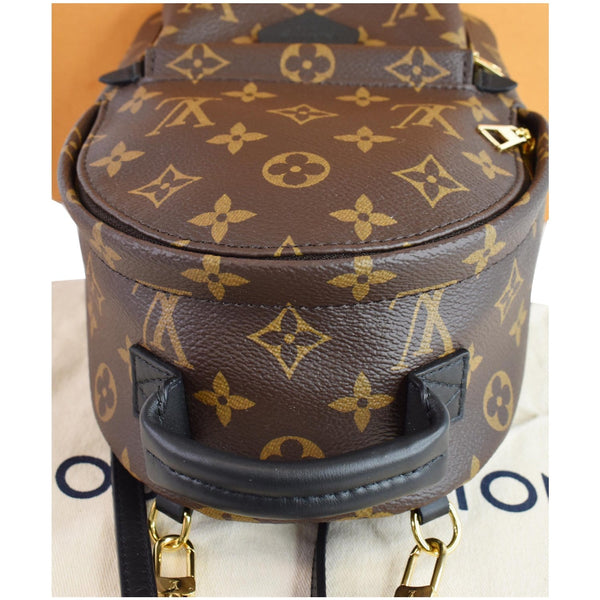 LOUIS VUITTON Palm Springs Mini Monogram Canvas Backpack Brown