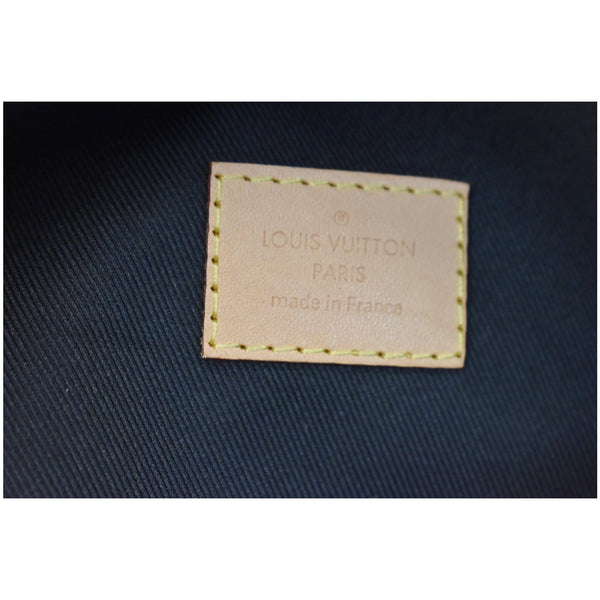 LOUIS VUITTON Monogram Canvas Bumbag Brown