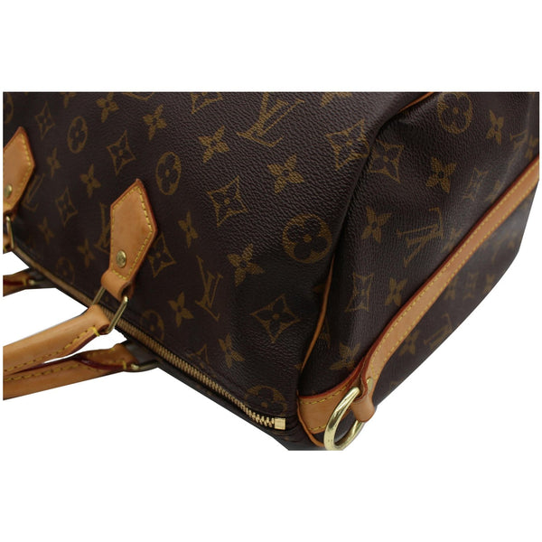 Louis Vuitton Speedy 30 Satchel Bag Brown - side preview