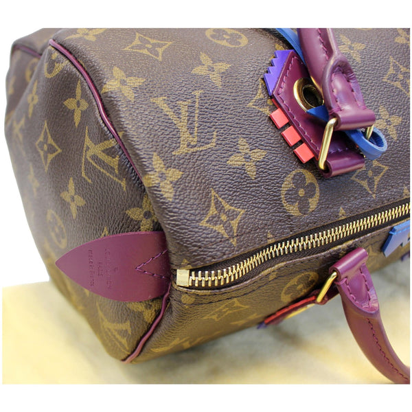LV Totem Speedy 30 Monogram Canvas Bag - Corner left view