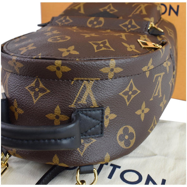LOUIS VUITTON Palm Springs Mini Monogram Canvas Backpack Brown