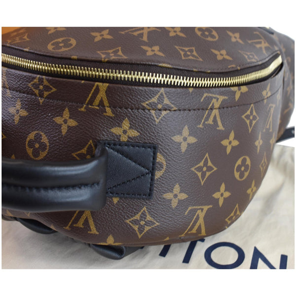 LOUIS VUITTON Palm Springs MM Monogram Canvas Backpack Bag Brown
