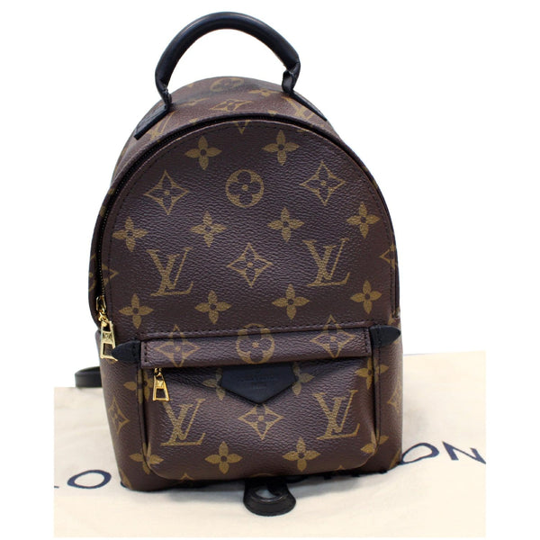 Louis Vuitton Palm Springs Mini Monogram Canvas Bagpack