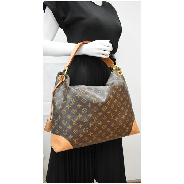 LOUIS VUITTON Berri MM Monogram Canvas Hobo Bag Brown