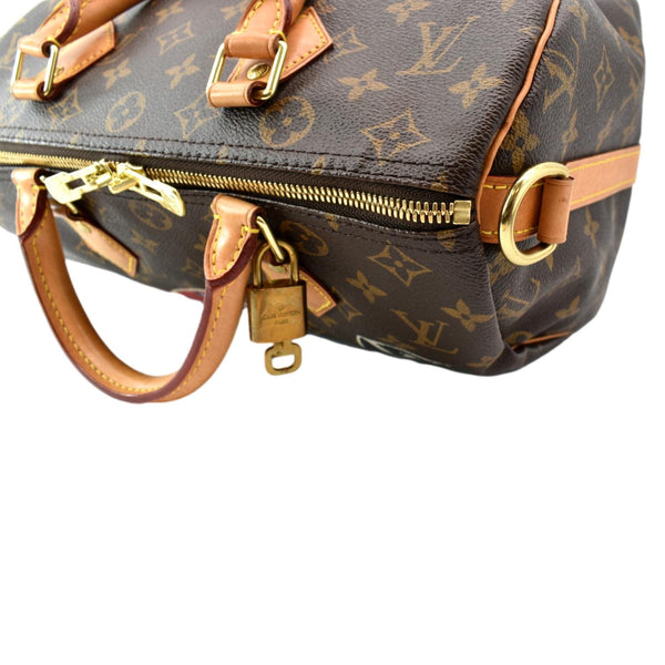 LOUIS VUITTON Speedy Bandouliere 30 World Tour Monogram Canvas Satchel Brown