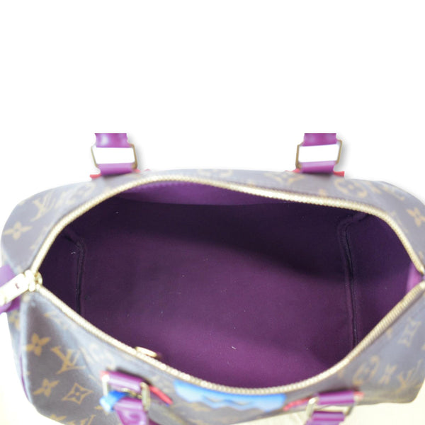 LOUIS VUITTON Totem Speedy 30 Monogram Canvas Satchel Bag Brown