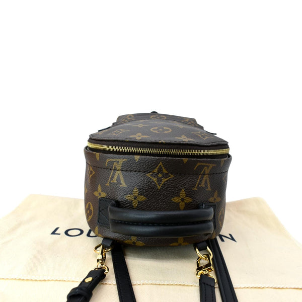 LOUIS VUITTON Palm Springs Mini Monogram Canvas Backpack Brown