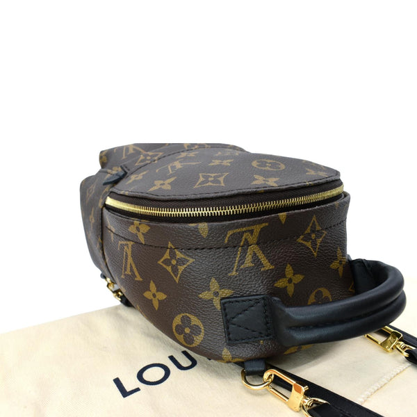 LOUIS VUITTON Palm Springs Mini Monogram Canvas Backpack Brown
