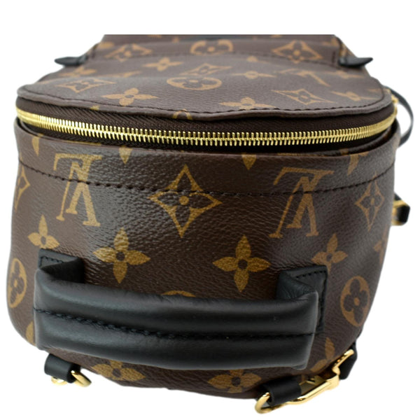 LOUIS VUITTON Palm Springs Mini Monogram Canvas Backpack Brown