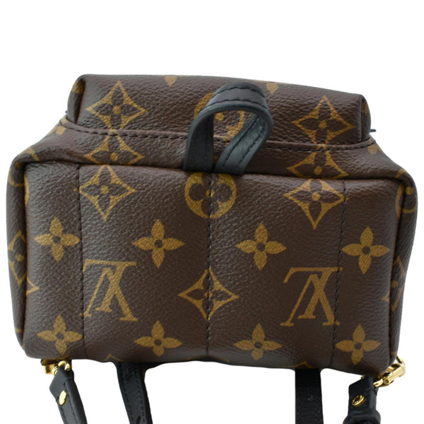 LOUIS VUITTON Palm Springs Mini Monogram Canvas Backpack Brown