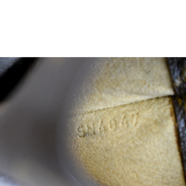 LOUIS VUITTON Monogram Canvas Sunglasses Case Brown