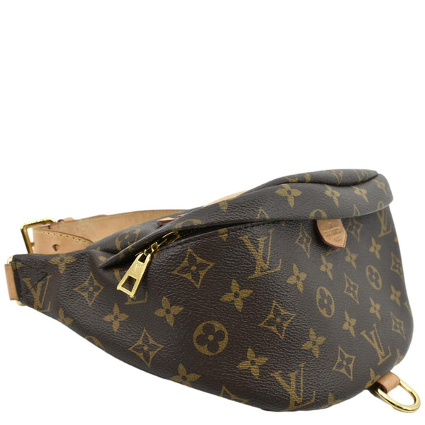 Louis Vuitton Monogram Canvas Bumbag Bag Brown - Left Side