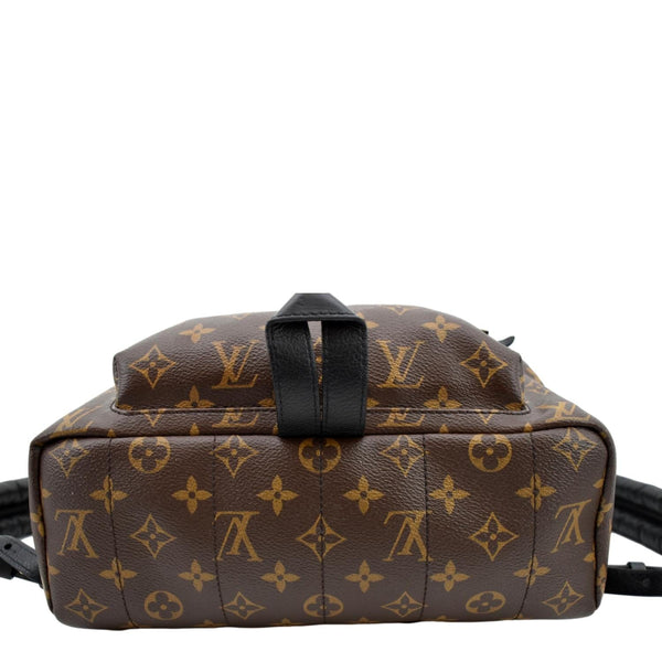 LOUIS VUITTON Palm Springs MM Monogram Canvas Backpack Brown