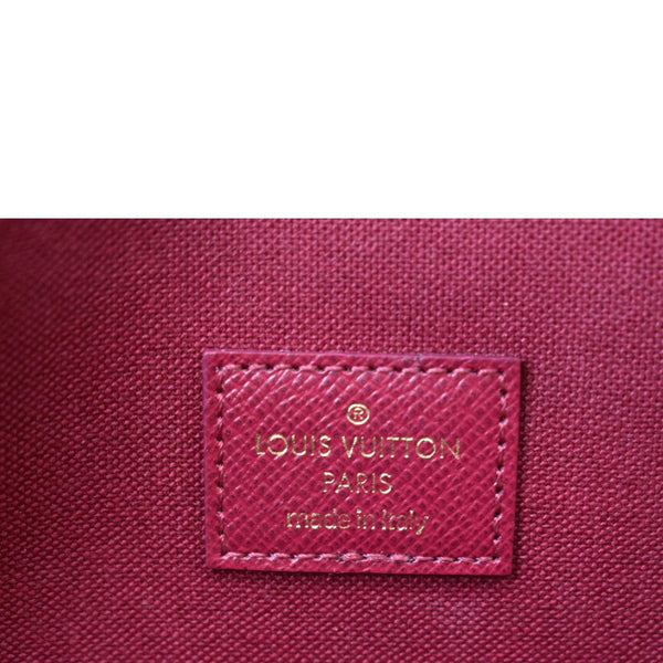 LOUIS VUITTON Felicie Monogram Canvas Pochette Crossbody Bag Brown