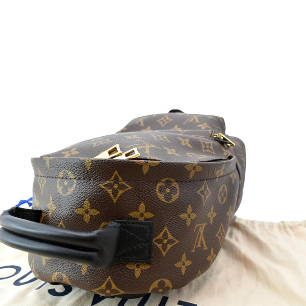 LOUIS VUITTON Palm Springs PM Monogram Canvas Backpack Brown