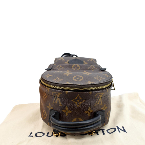 LOUIS VUITTON Palm Springs Mini Monogram Canvas Backpack Brown