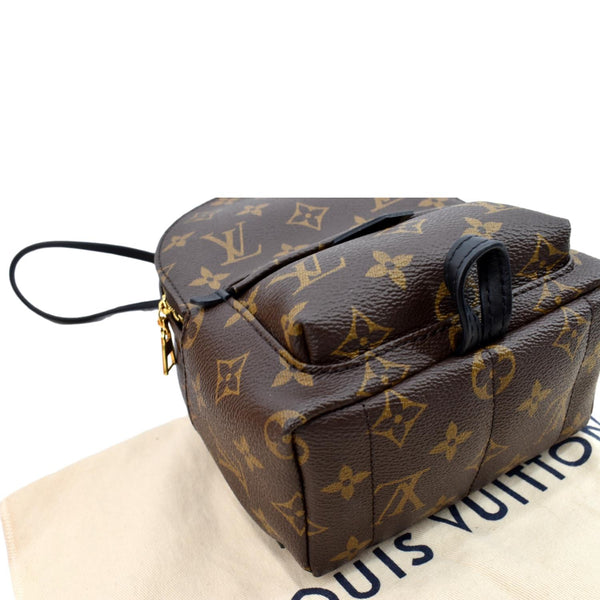 LOUIS VUITTON Palm Springs Mini Monogram Canvas Backpack Brown
