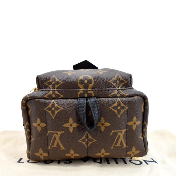 LOUIS VUITTON Palm Springs Mini Monogram Canvas Backpack Brown