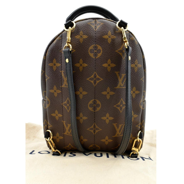 Louis Vuitton Palm Springs Mini Monogram Backpack - Back