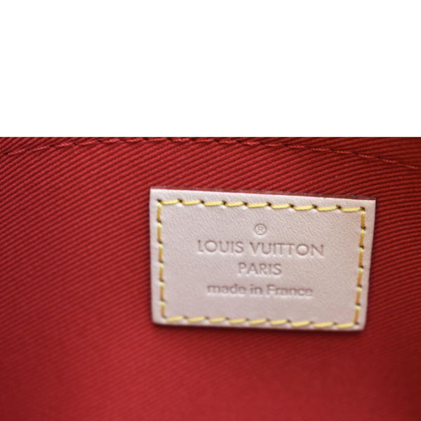 LOUIS VUITTON Neverfull Monogram Canvas Pochette Wristlet Pouch Brown