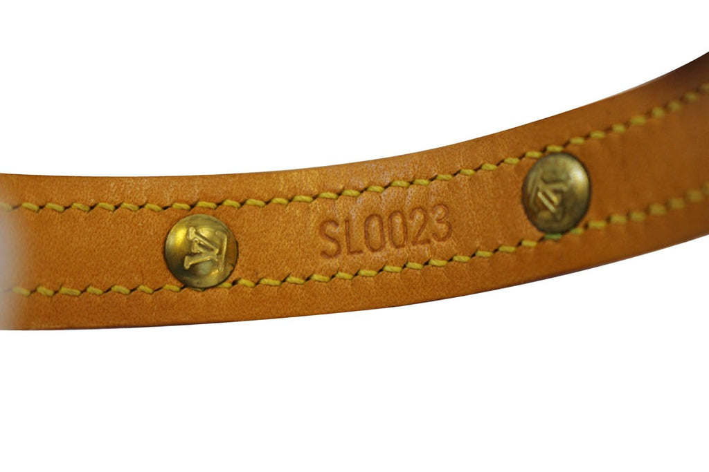 LOUIS VUITTON Monogram Collier Baxter PM