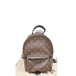 Louis Vuitton Palm Springs PM Monogram