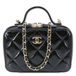 Chanel CC Double Zip Quilted Glazed Lambskin Leather Top Handle Vanity Case Black