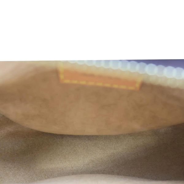 LOUIS VUITTON Loop Monogram Reverse Canvas Hobo Bag Brown