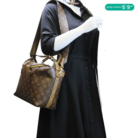 LOUIS VUITTON City Cruiser Reverse Monogram Canvas Shoulder Bag Brown