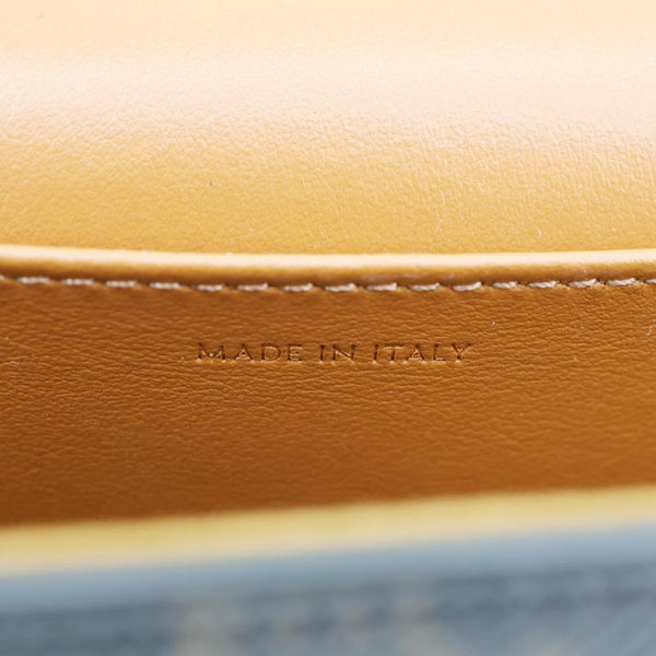 CELINE Triomphe Mini Canvas Shoulder Bag Brown