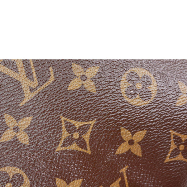 LOUIS VUITTON Diane Monogram Canvas Shoulder Bag Brown