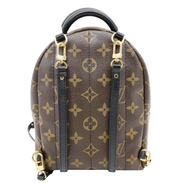 LOUIS VUITTON Palm Spring Mini  Monogram Canvas Backpack Brown