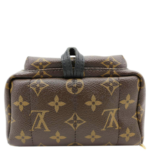 LOUIS VUITTON Palm Spring Mini  Monogram Canvas Backpack Brown