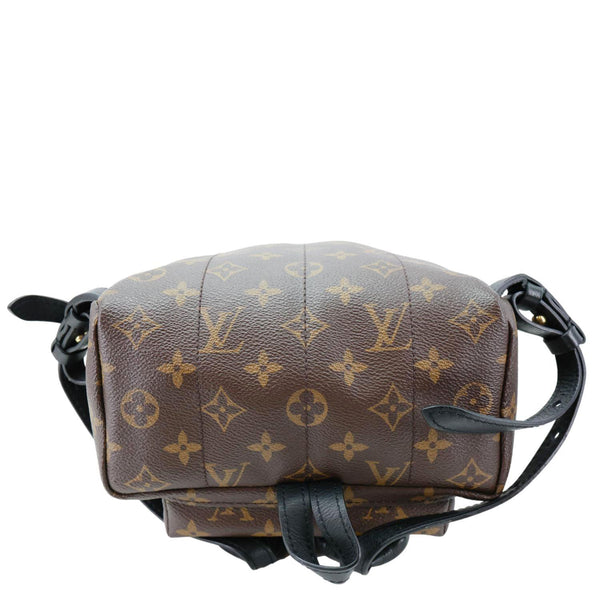 LOUIS VUITTON Palm Spring PM Monogram Canvas Backpack Brown