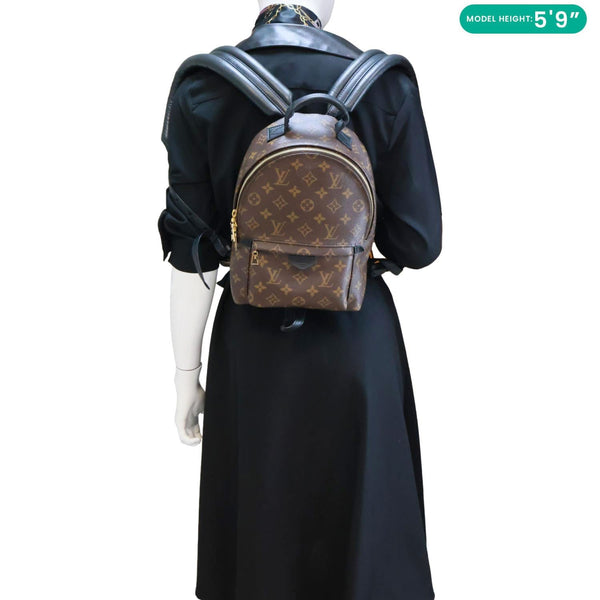 LOUIS VUITTON Palm Spring PM Monogram Canvas Backpack Brown