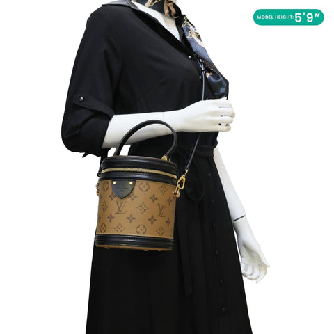 LOUIS VUITTON Cannes Reverse Monogram Canvas Shoulder Bag Brown