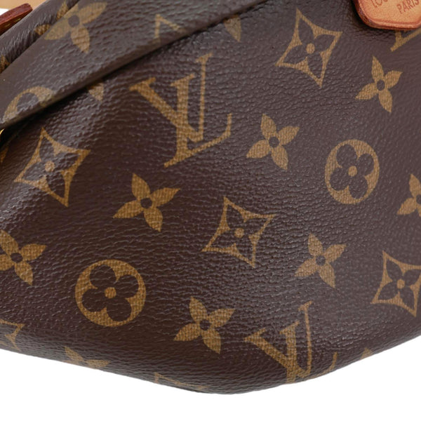 LOUIS VUITTON Monogram Canvas Bumbag Brown