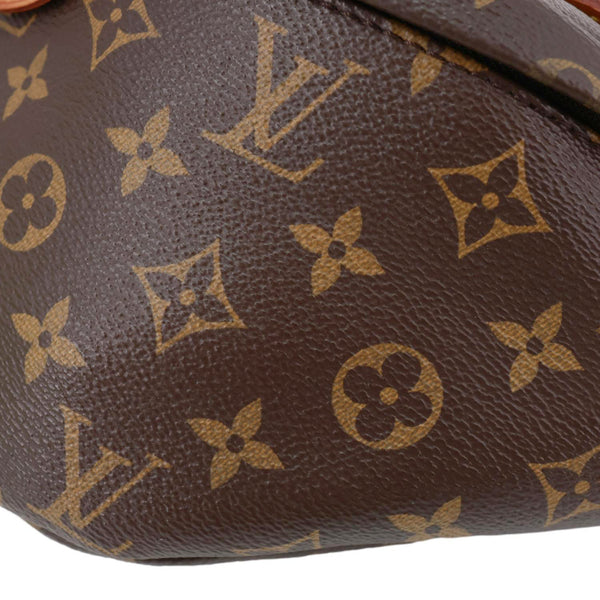 LOUIS VUITTON Monogram Canvas Bumbag Brown