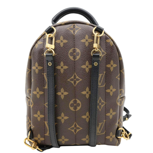 LOUIS VUITTON Palm Spring World Tour Monogram Canvas Backpack Brown