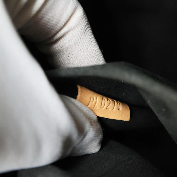 LOUIS VUITTON LV Egg Souple Monogram Canvas 2way Shoulder Bag Brown