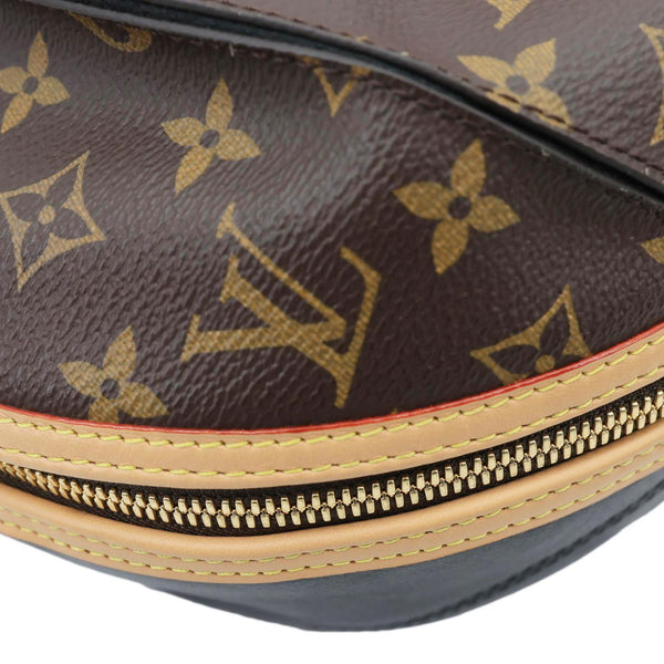 LOUIS VUITTON LV Egg Souple Monogram Canvas 2way Shoulder Bag Brown