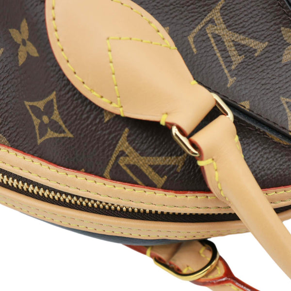 LOUIS VUITTON LV Egg Souple Monogram Canvas 2way Shoulder Bag Brown