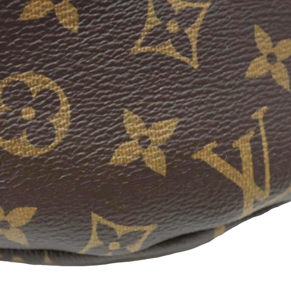 LOUIS VUITTON Monogram Canvas Bumbag Brown