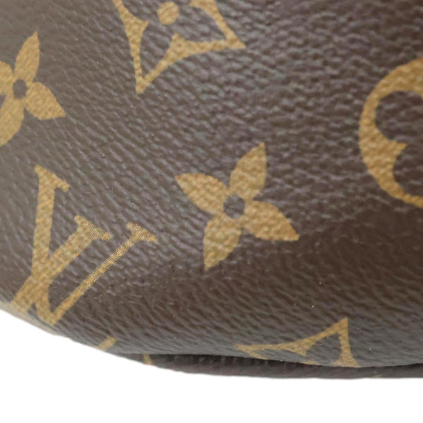 LOUIS VUITTON Monogram Canvas Bumbag Brown