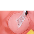 files/AC2A7636_clipped_rev_1.jpg